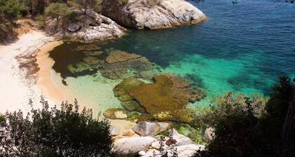 Hotel Cala del Pi - Adults Only