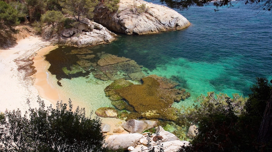 Hotel Cala del Pi - Adults Only