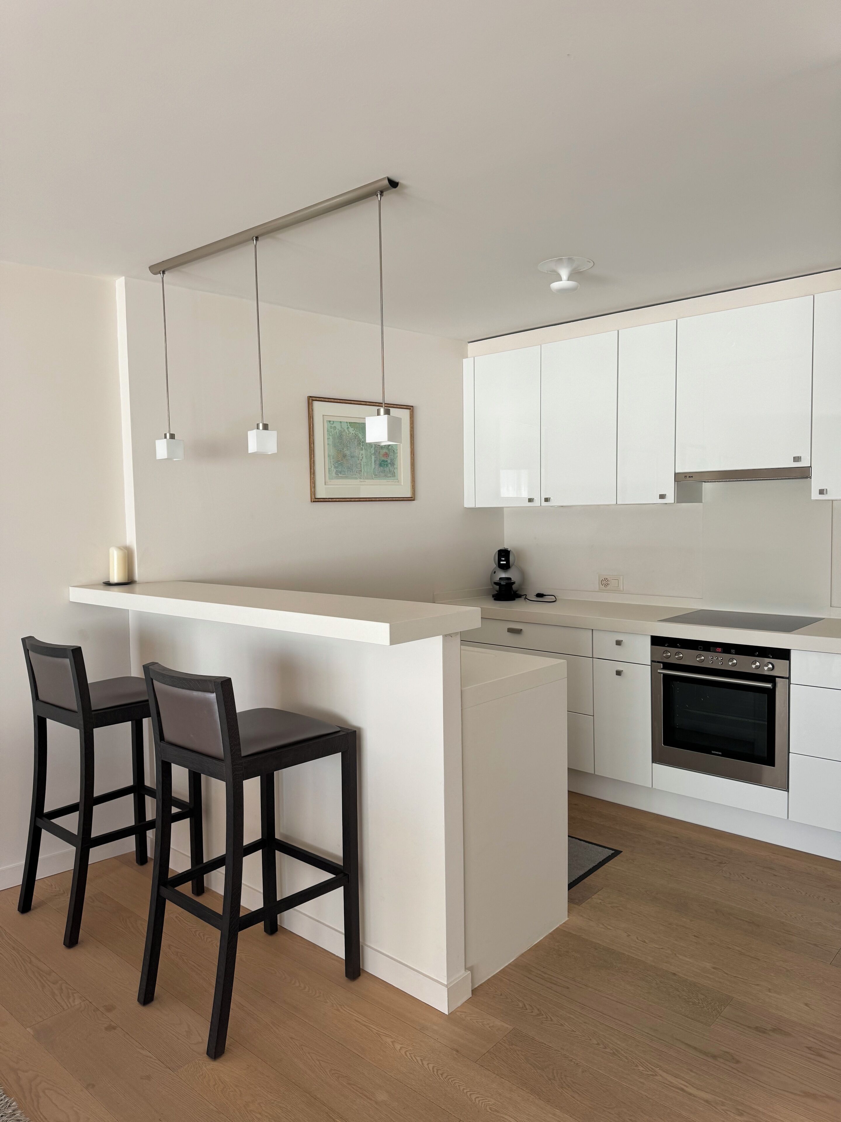 classic apartment, 2 bedrooms, balcony | private kitchen