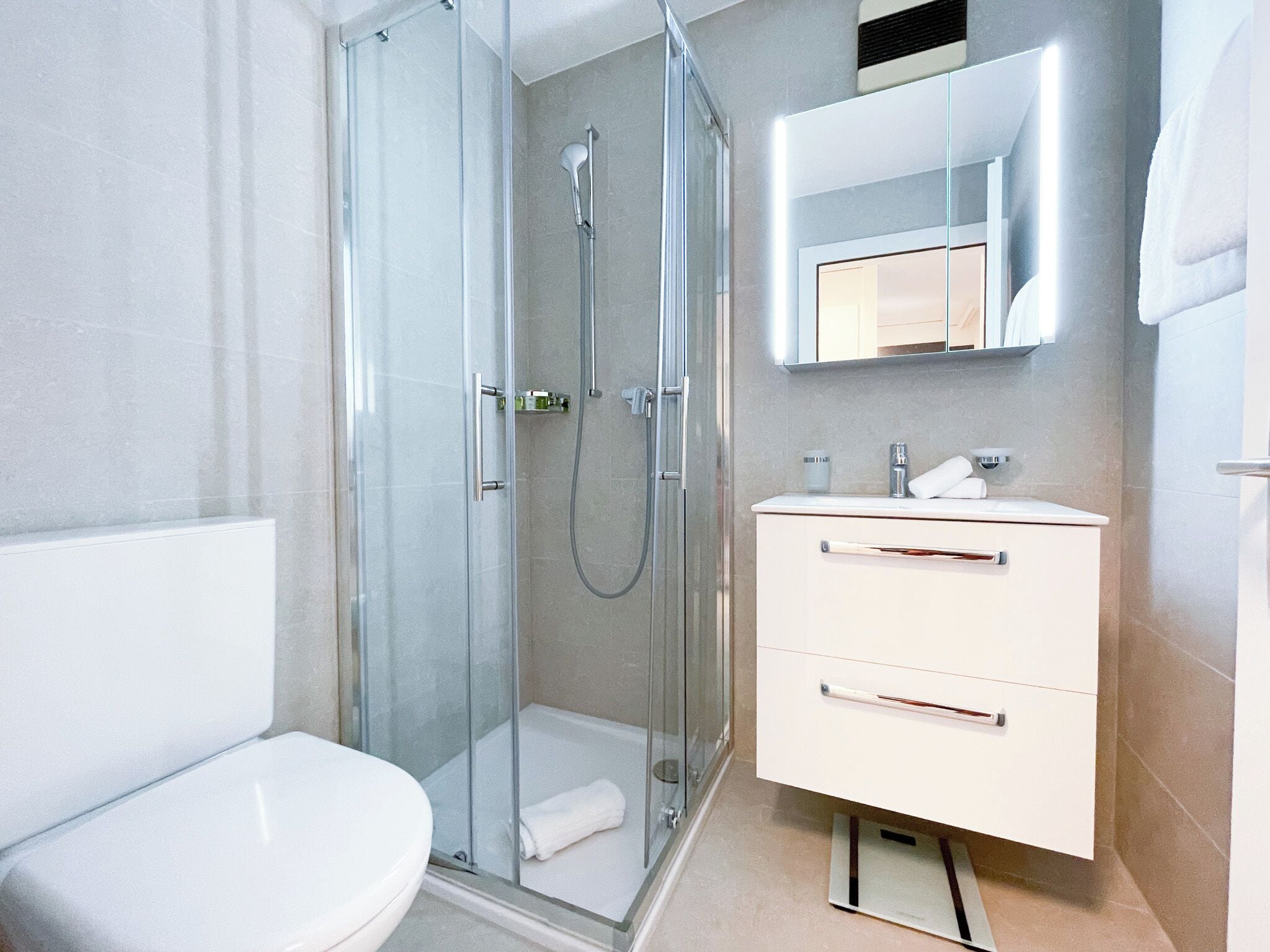A modern bathroom with a glass-enclosed shower, a white toilet, and a vanity with a mirror above it.