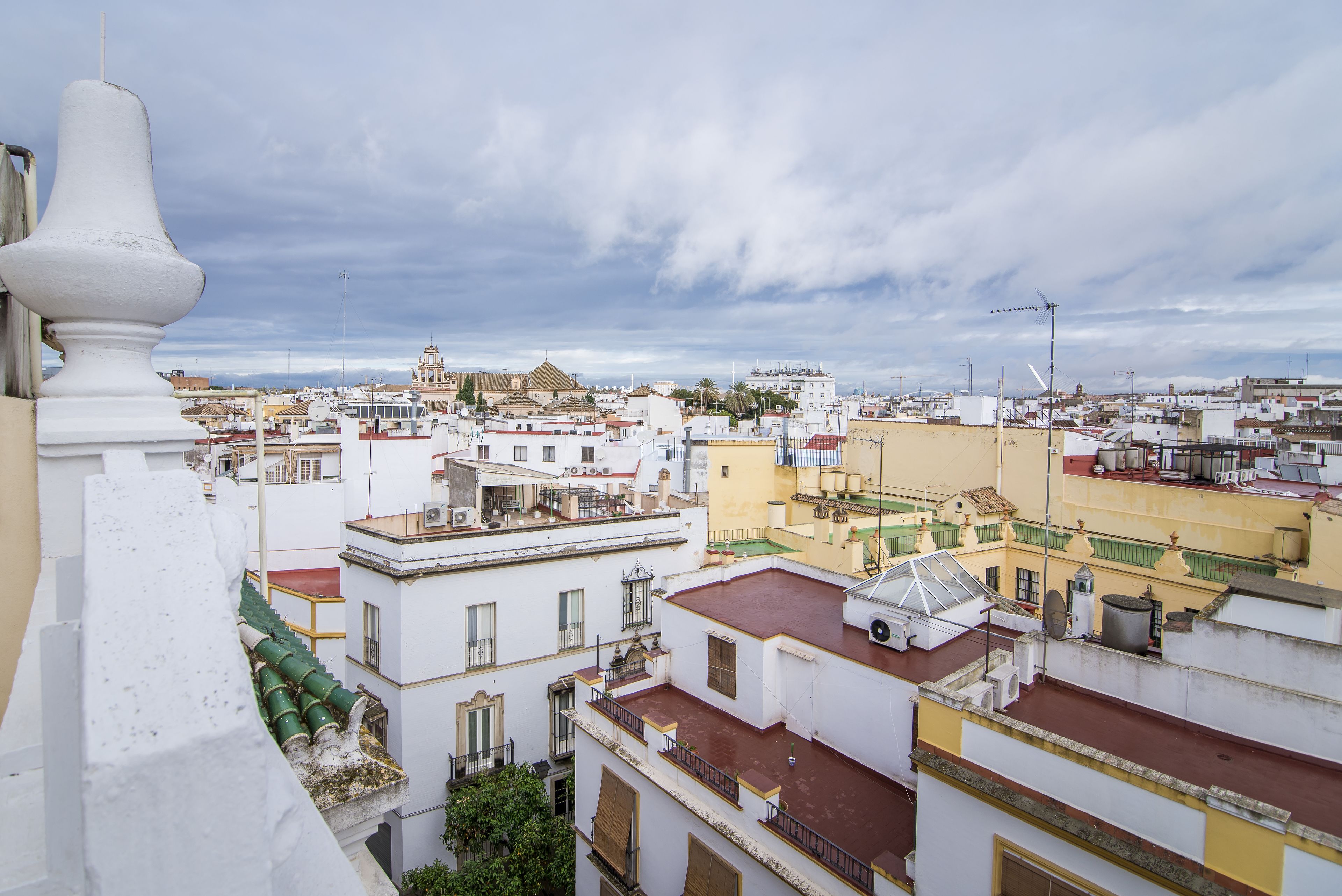 quadruple room, terrace | view from room