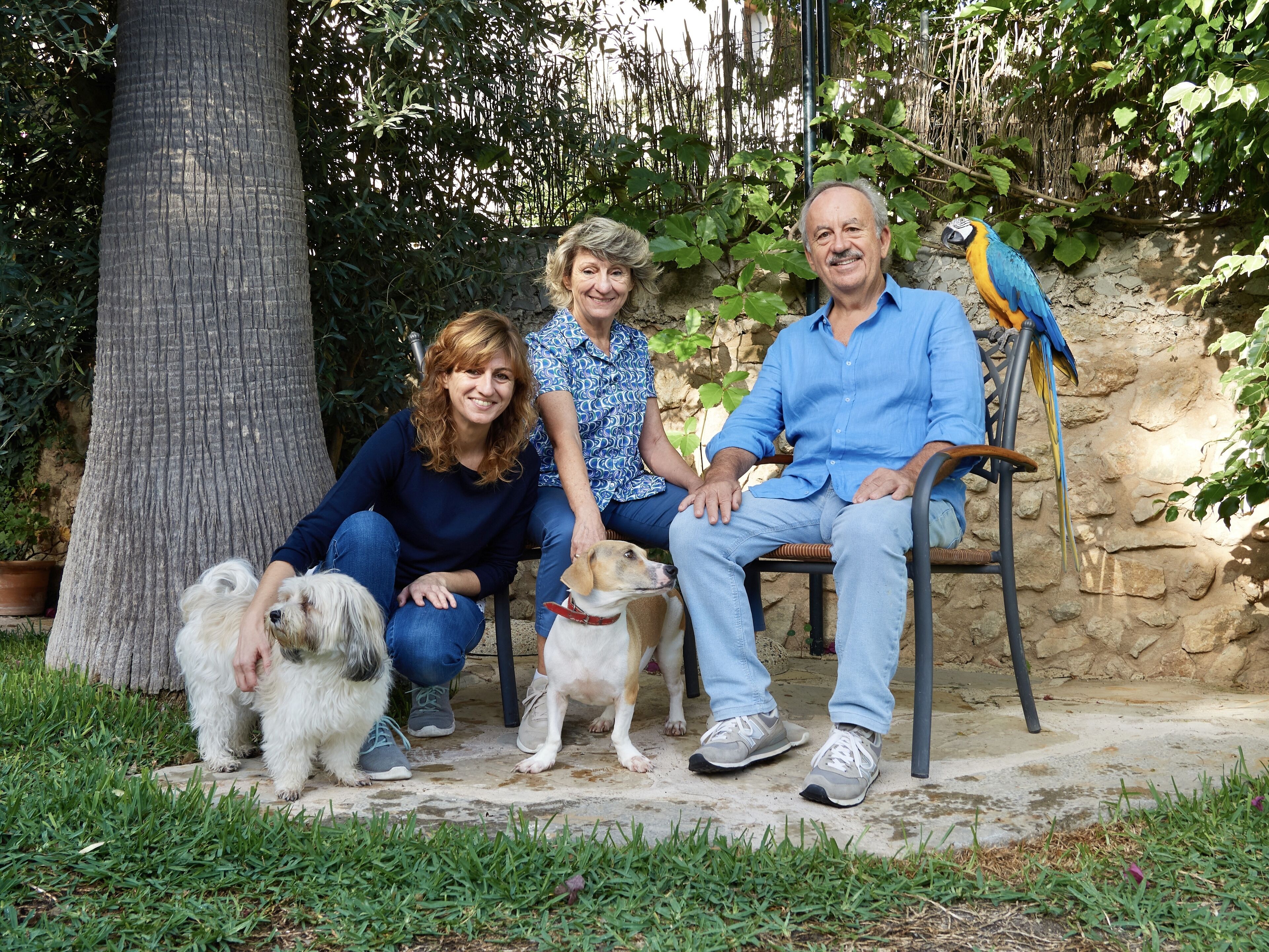 Photo - Son Sant Jordi