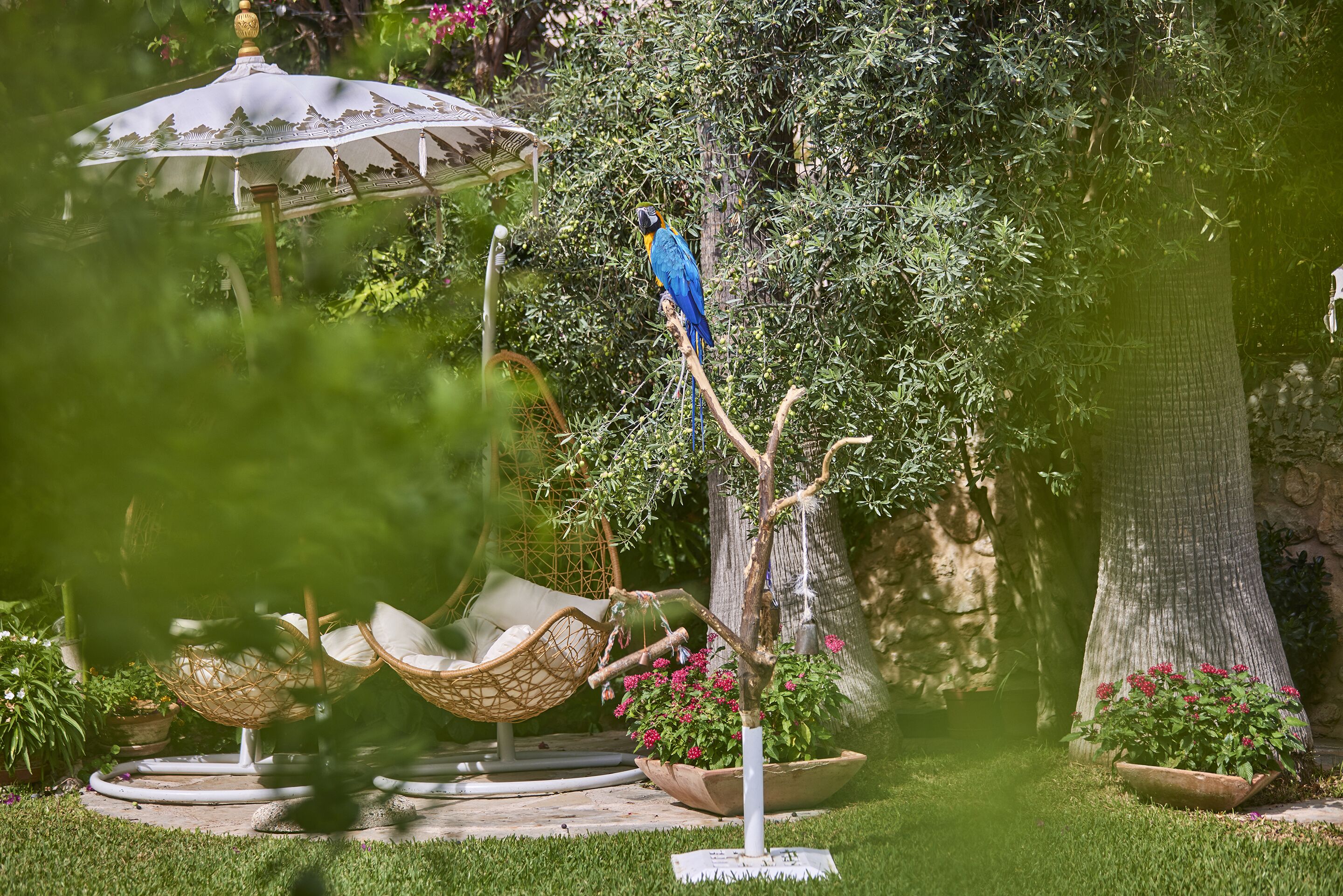 Photo - Son Sant Jordi