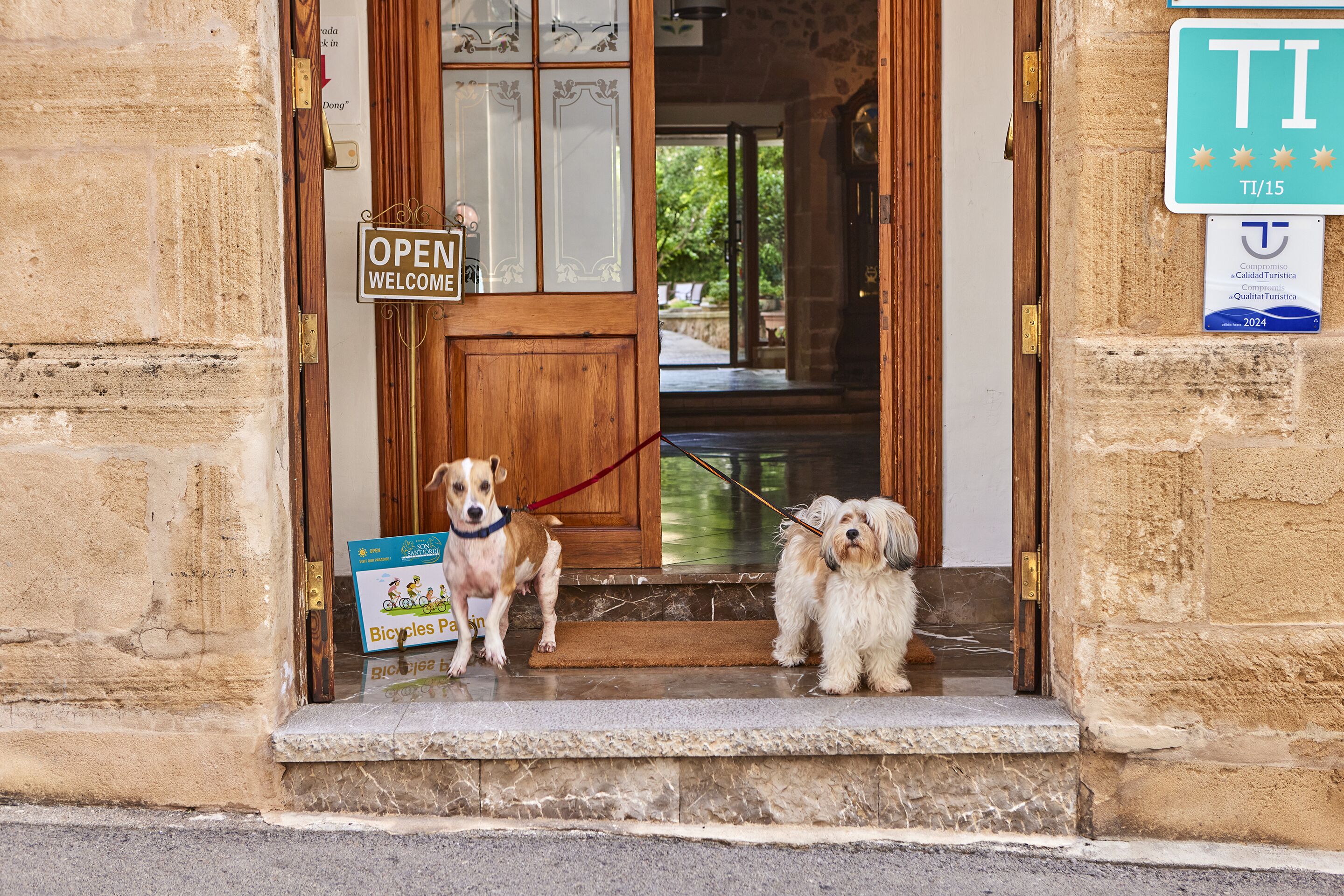 Photo - Son Sant Jordi