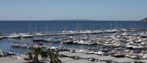 A marina with numerous boats docked, a clear sky, and a distant view of land.