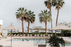 A pool area with lounge chairs and umbrellas, surrounded by palm trees.