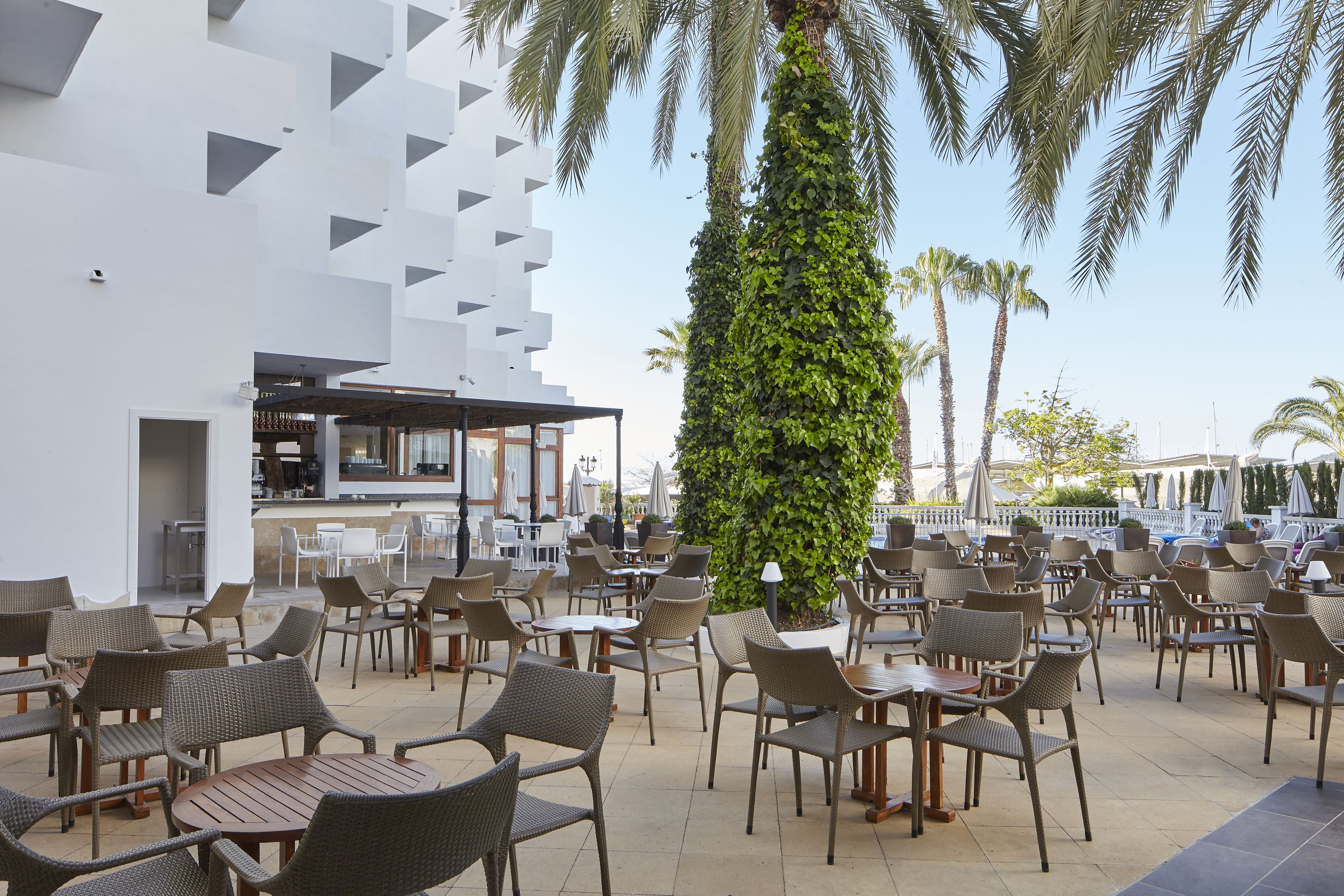 Un espacio al aire libre con sillas y mesas de mimbre, una zona de bar y una alta columna de vegetación.