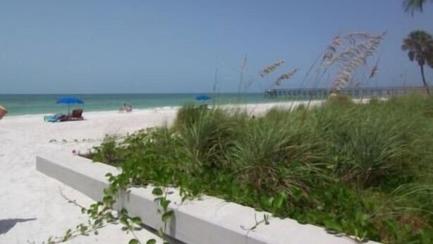 Beach/ocean view - Royal Orleans by TRS Inc. (Redington Beach)