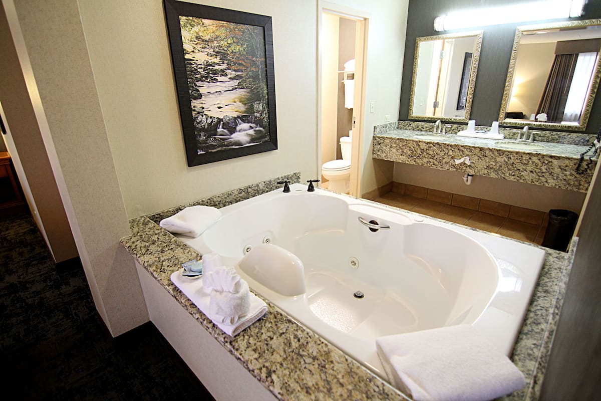 suite, 1 bedroom | jetted bathtub