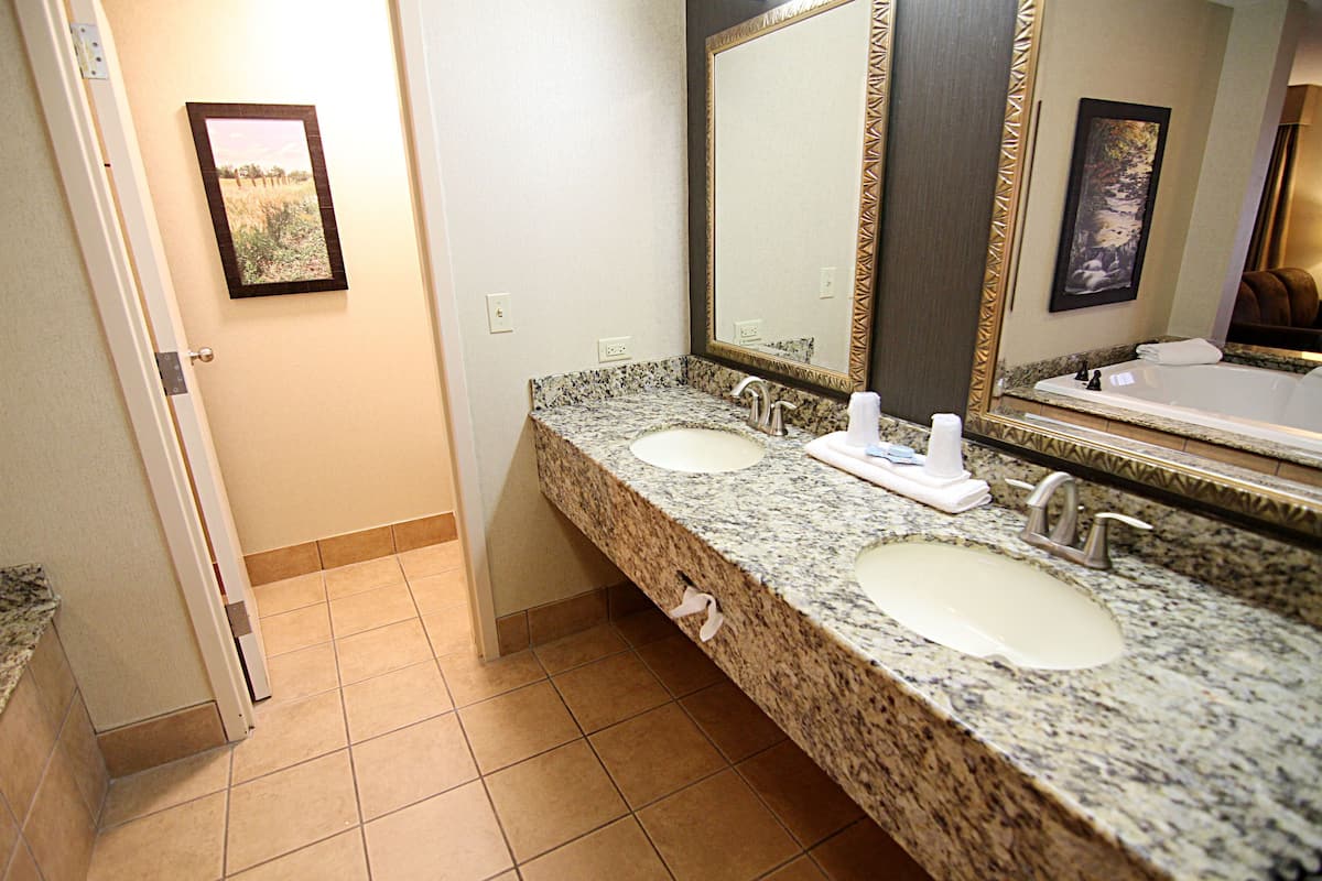 suite, 1 bedroom | bathroom | combined shower/bathtub, designer toiletries, hair dryer, towels