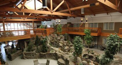 C'mon Inn Hotel & Suites