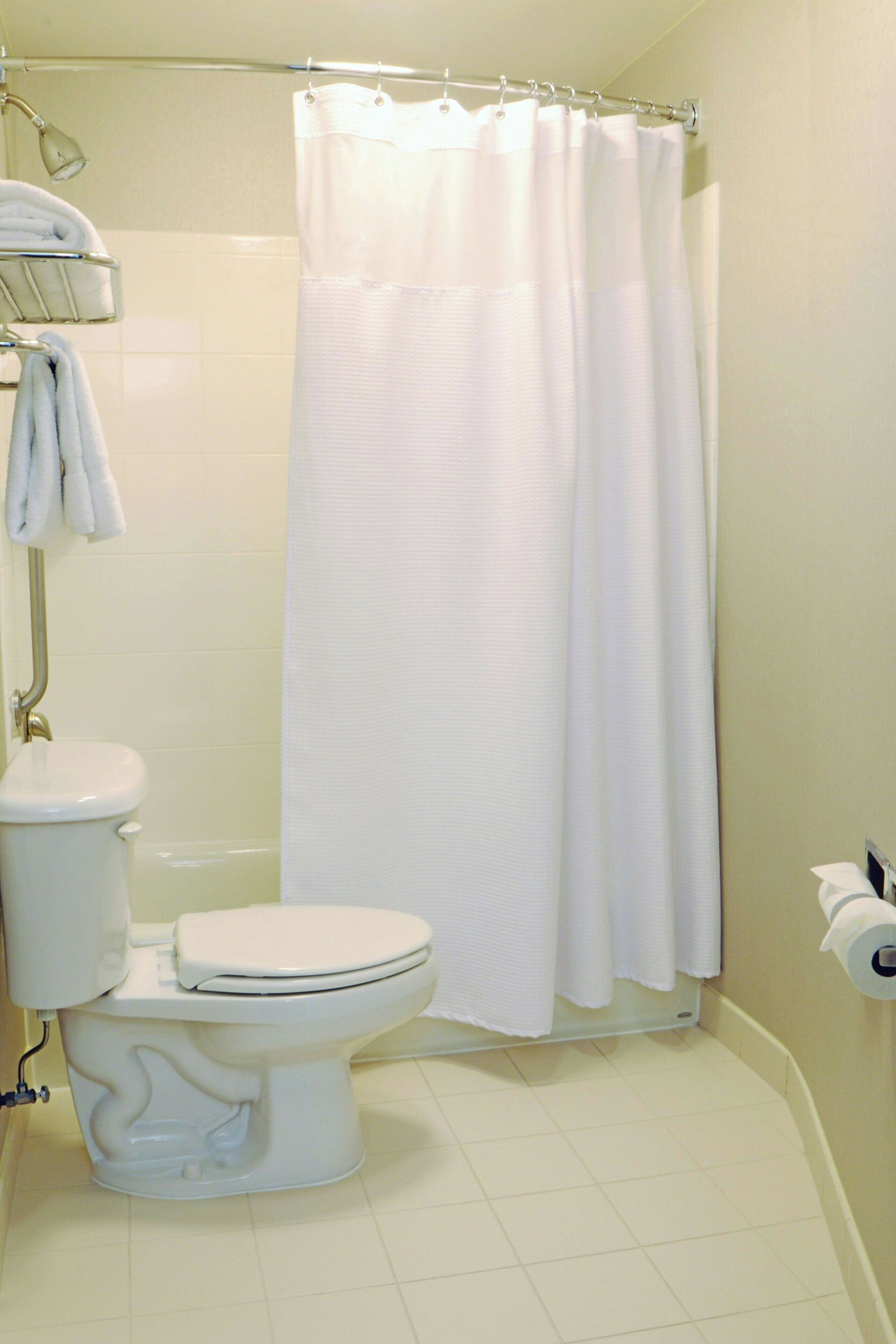 combined shower/bathtub, free toiletries, hair dryer, towels