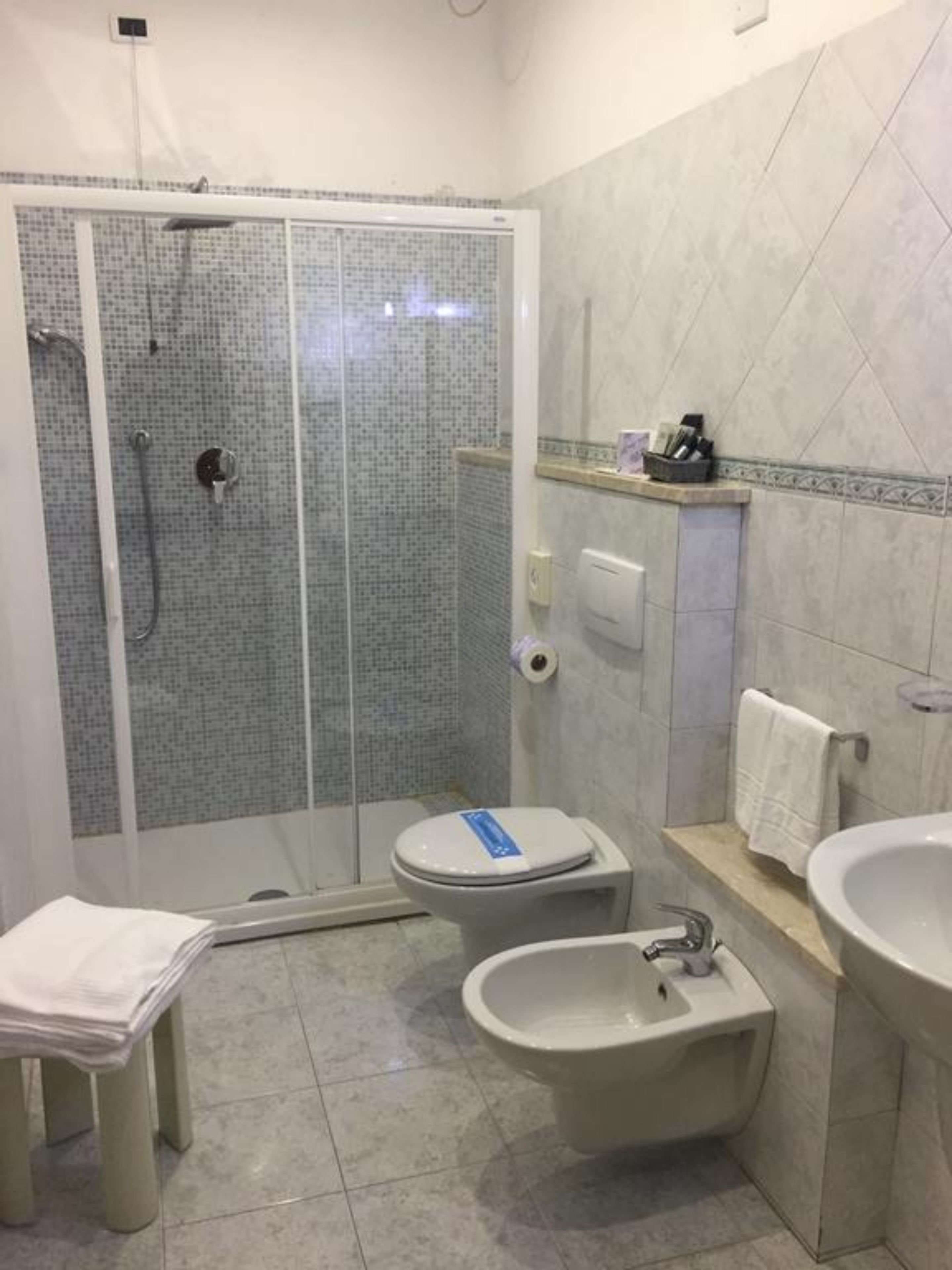 superior double room | bathroom | shower, free toiletries, hair dryer, bidet