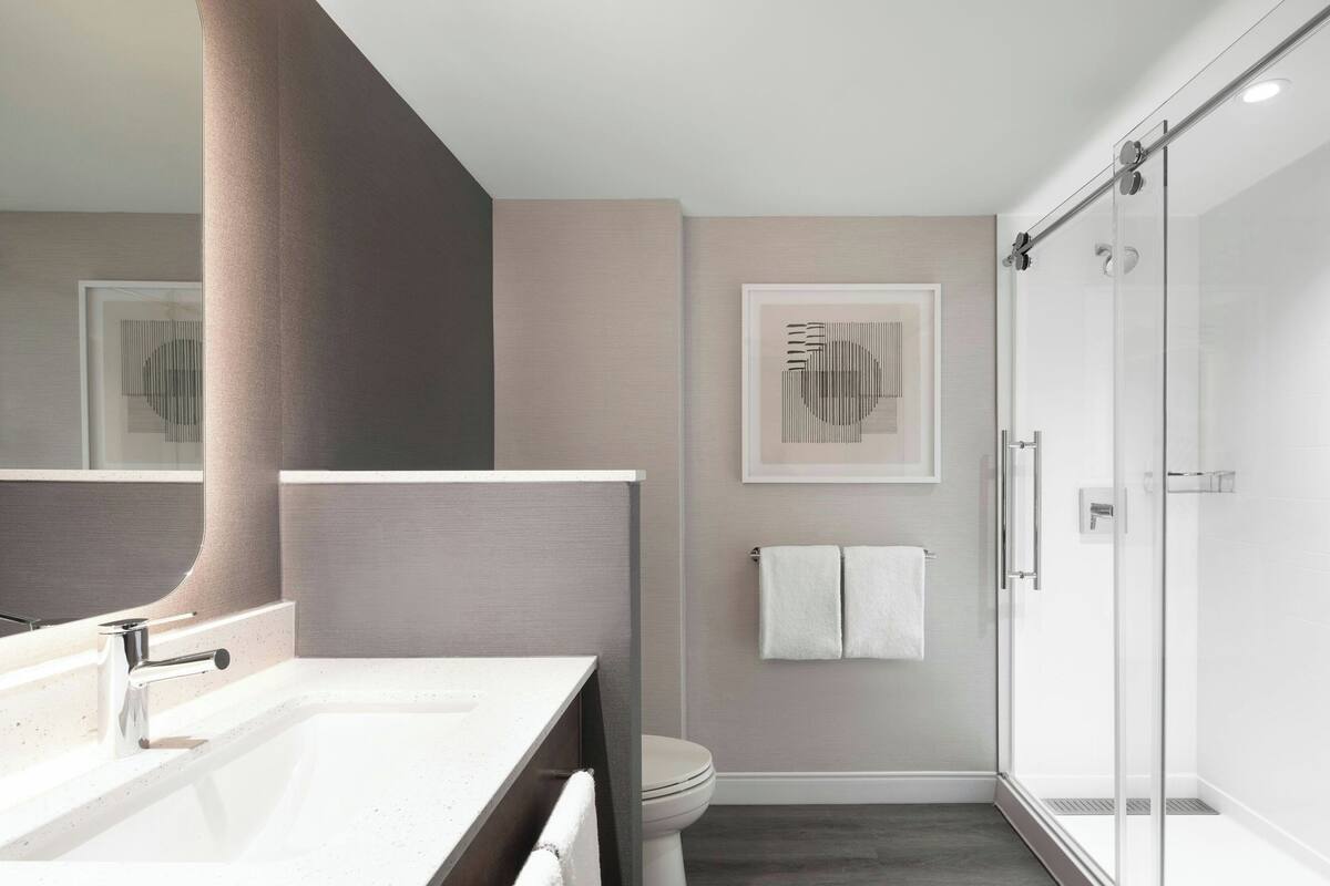 combined shower/bathtub, free toiletries, hair dryer, towels