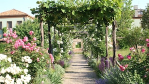 A garden pathway with a pergola covered in climbing plants, surrounded by various flowering plants. - Bauer Palladio Hotel & Spa (Venice)
