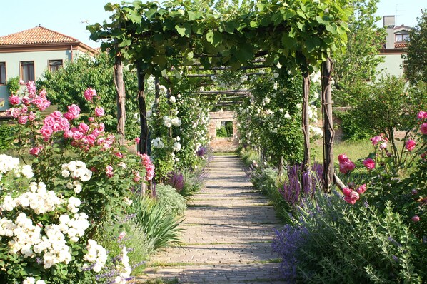 Un sendero en un jardín con un pérgola cubierta de plantas trepadoras, rodeado de diversas plantas florecientes.