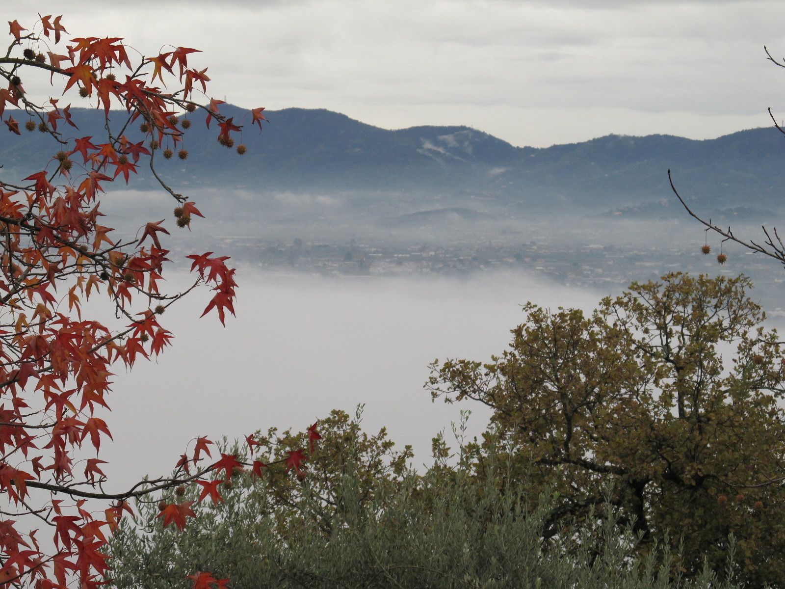 View from property