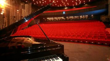Un piano de cola imponente en un teatro con asientos rojos y un techo estrellado.