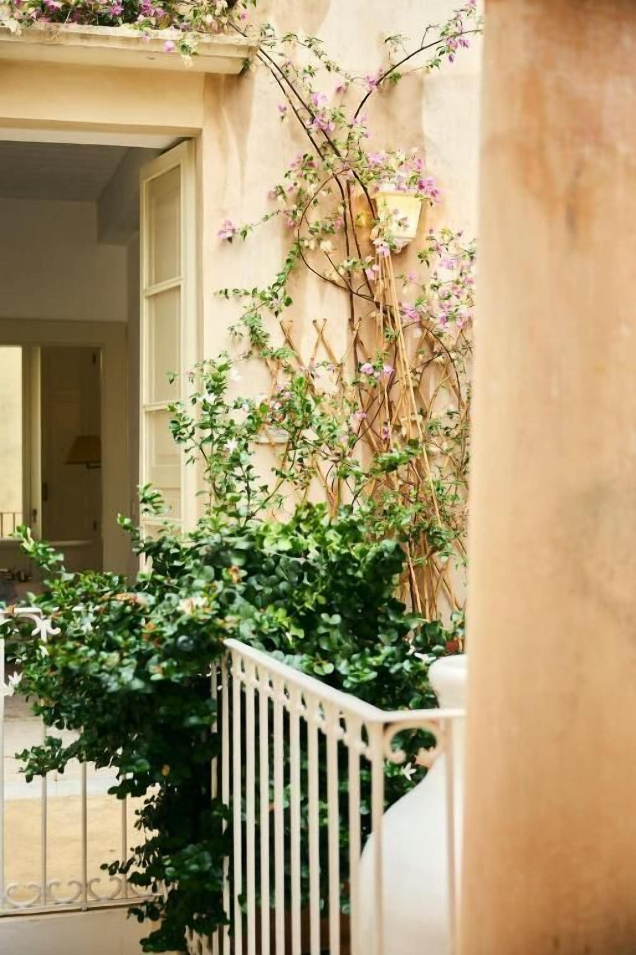 A balcony with a white railing, a beige wall, and climbing plants with pink flowers.