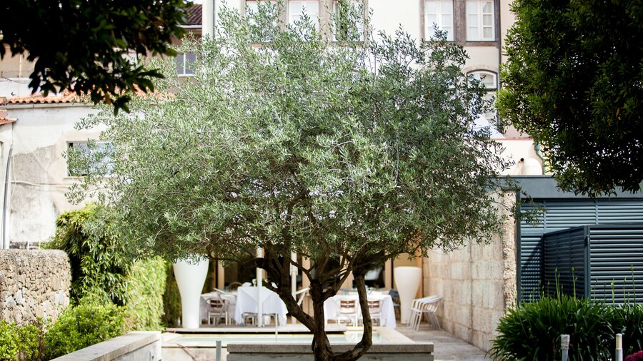 Hotel Bracara Augusta