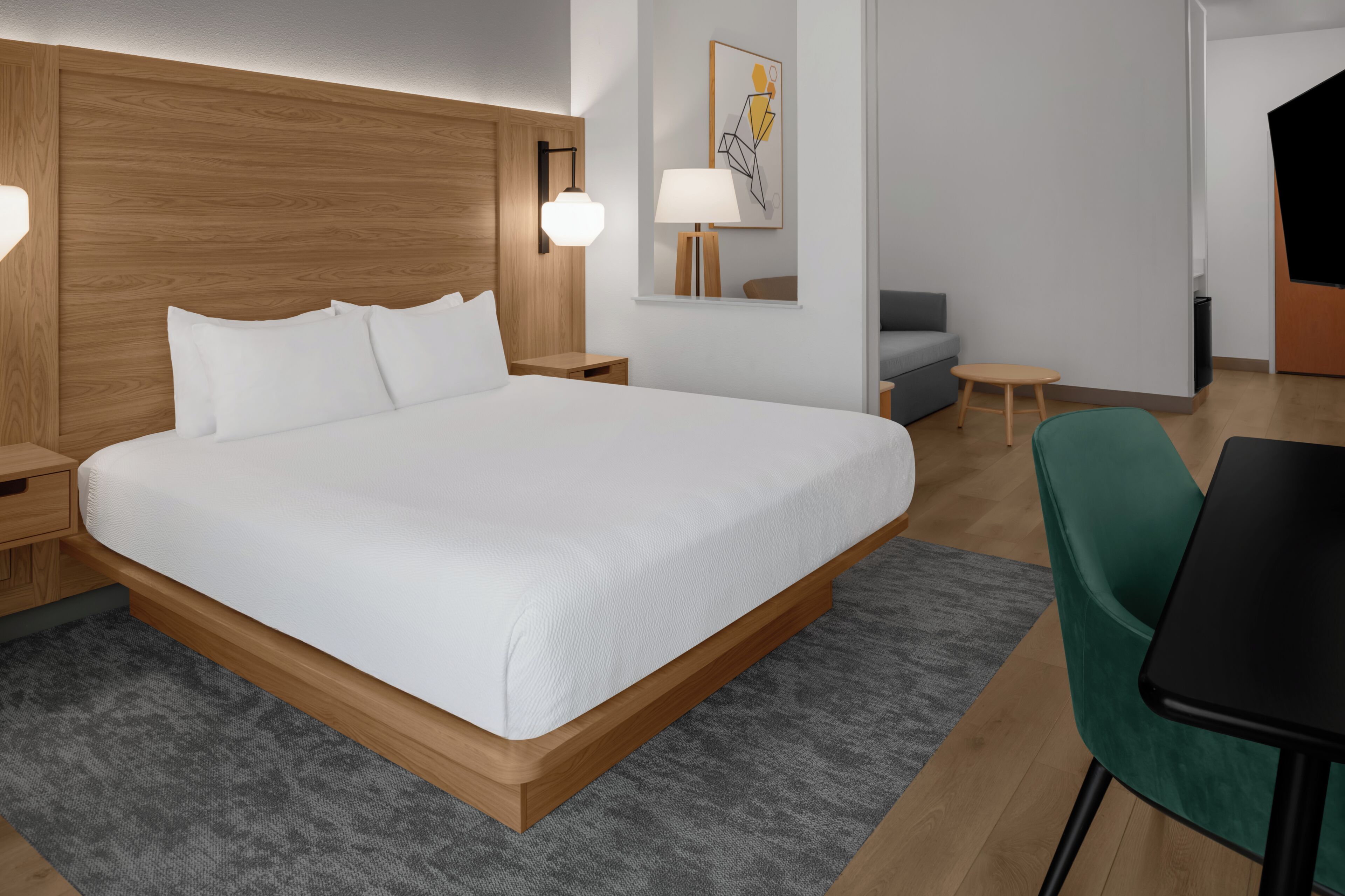 Executive-suite - 1 kingsize-seng med sovesofa | Udsigt fra værelset