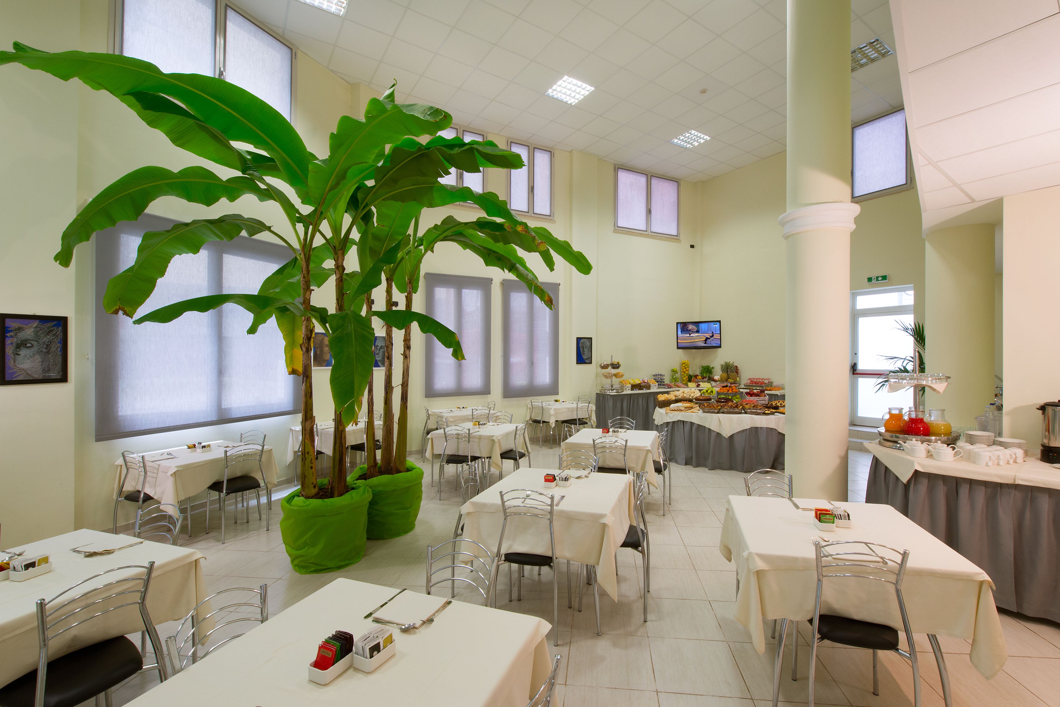 Un comedor con varias mesas y sillas, una planta grande en maceta y un bufé con diferentes opciones de comida.