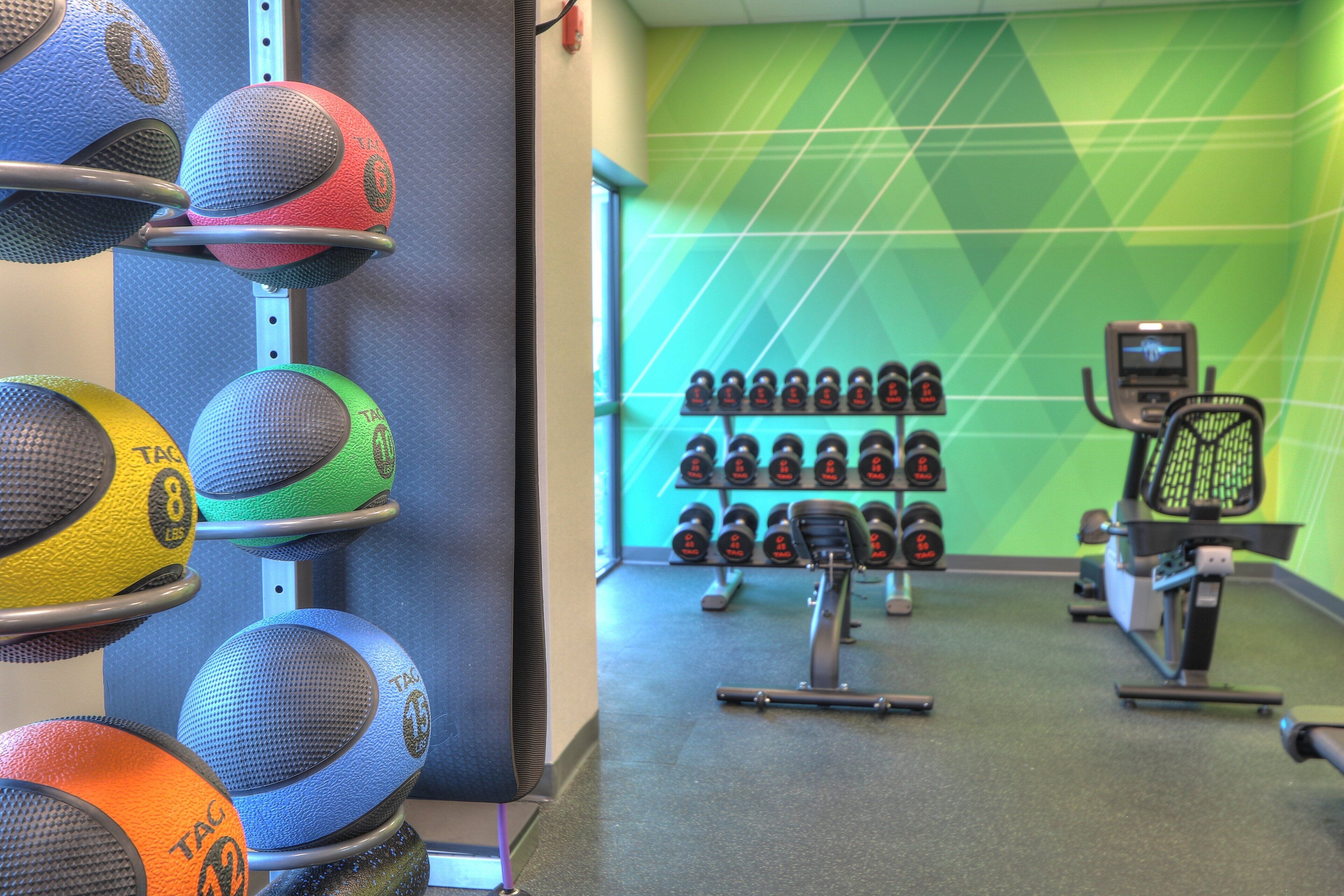 A gym with exercise equipment, including a wall-mounted rack of dumbbells and a row of medicine balls.