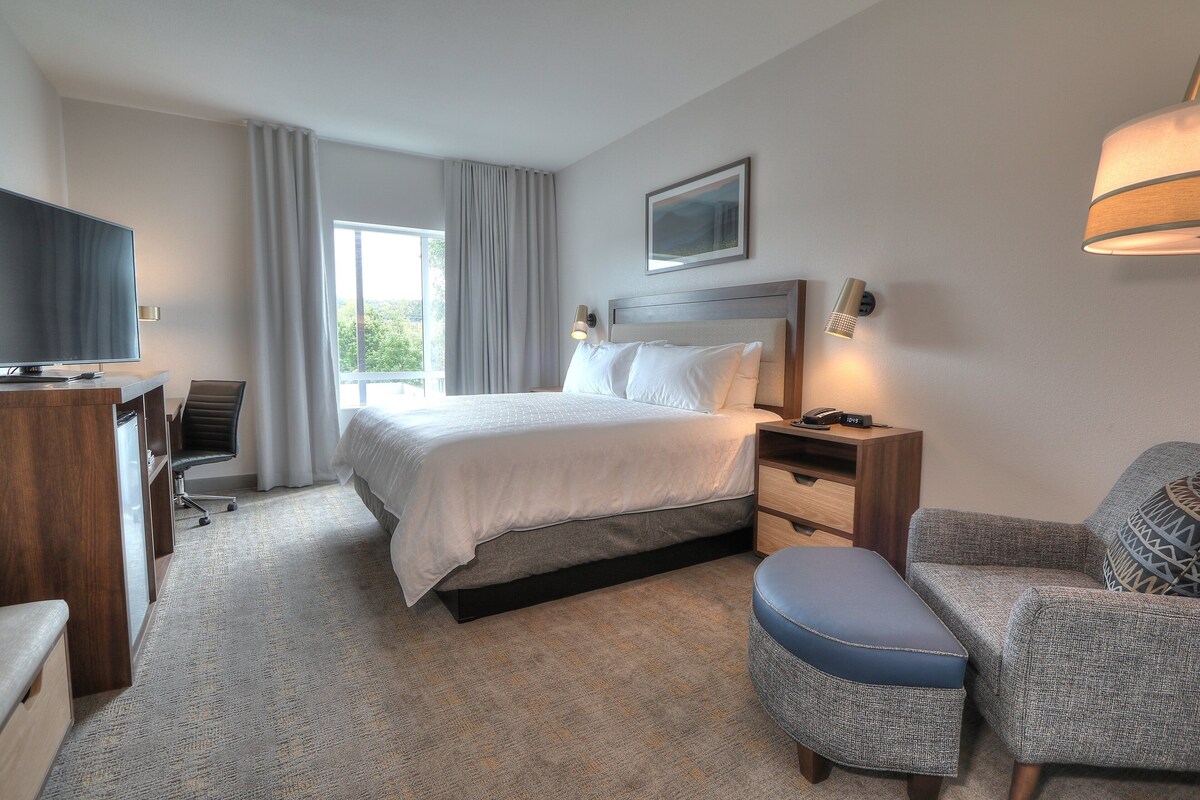 Standard Room, 1 King Bed | Egyptian cotton sheets, premium bedding, pillowtop beds, desk