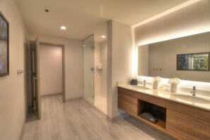 套房, 1 间卧室, 阳台 (Fireplace, Parkway View) | 浴室 | 淋浴/盆浴组合、名牌洗护用品、吹风机、浴袍