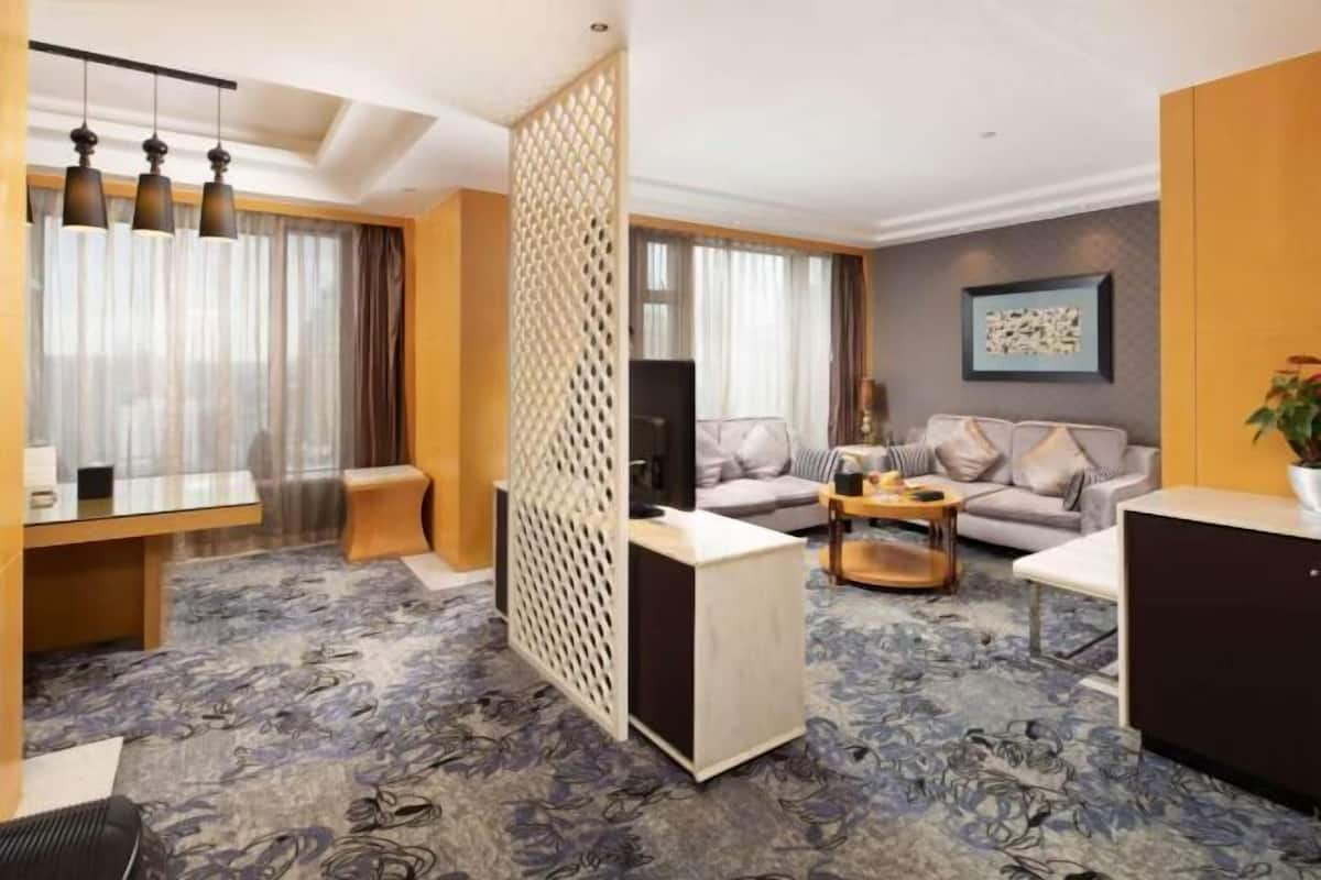 Una habitación de hotel moderna con sala de estar, un conjunto de sofás, una mesa de centro, un televisor y una pantalla decorativa.