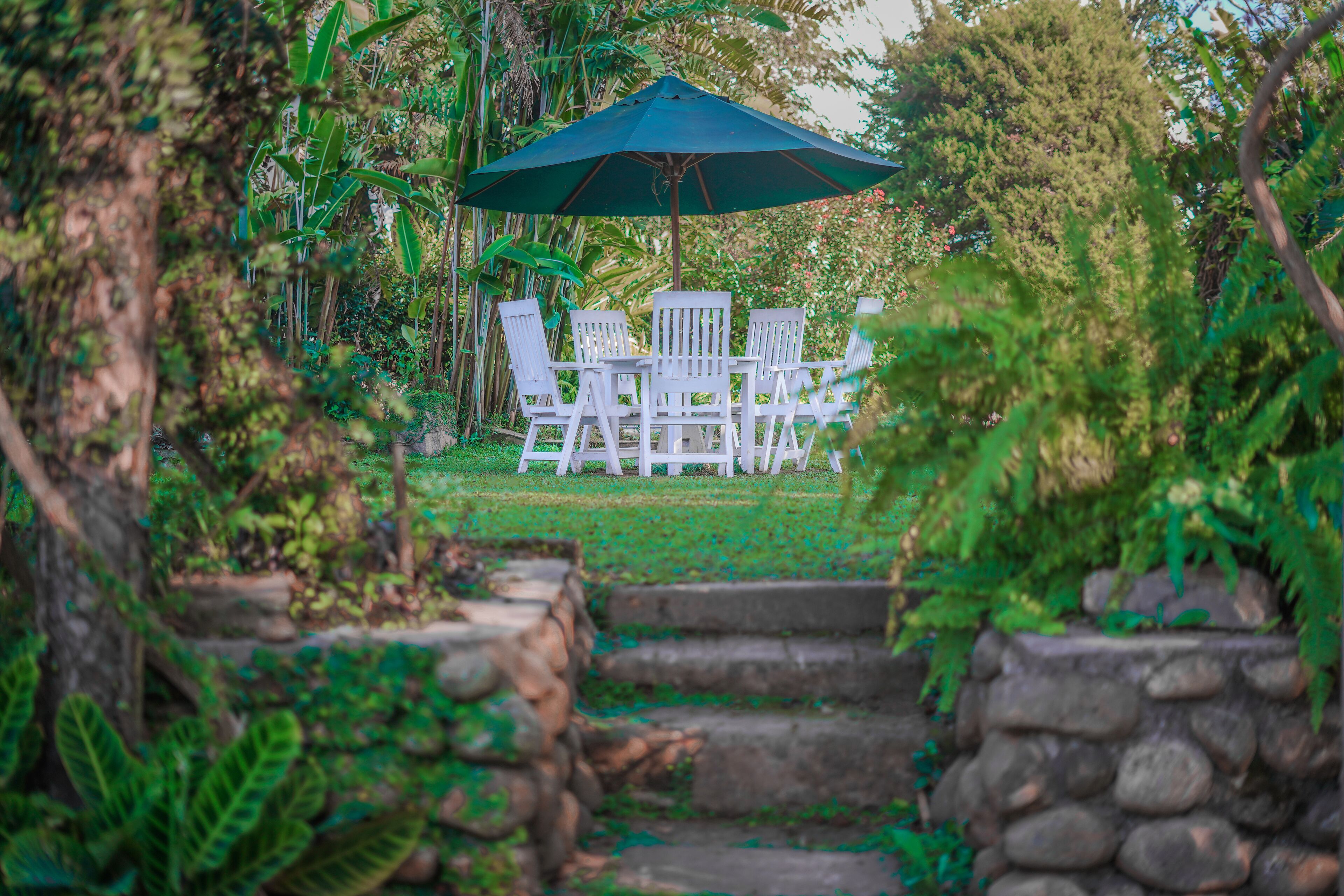 Un patio jardín con un camino de piedra que lleva a una mesa y sillas bajo un gran paraguas.