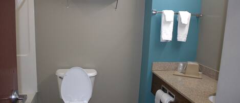 Un baño con inodoro, toallero, lavabo y espejo.