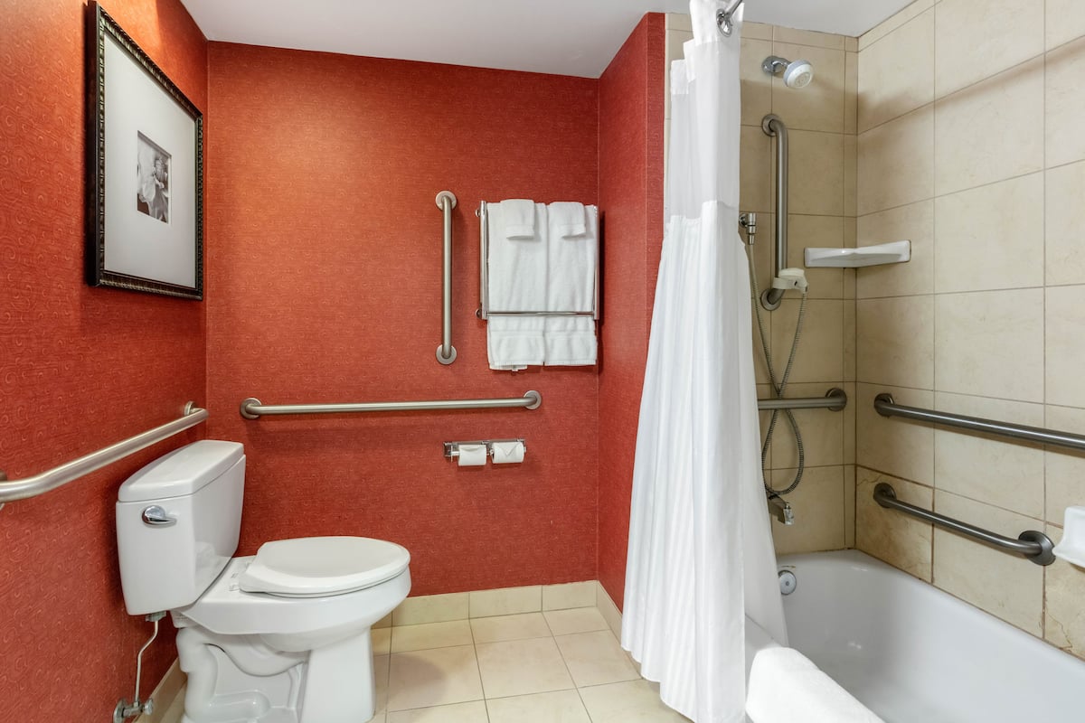 A bathroom with a toilet, a shower with grab bars, and a framed picture on the wall.