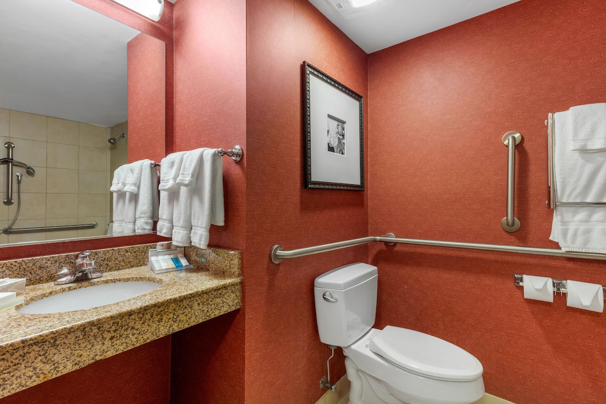 combined shower/bathtub, free toiletries, hair dryer, towels