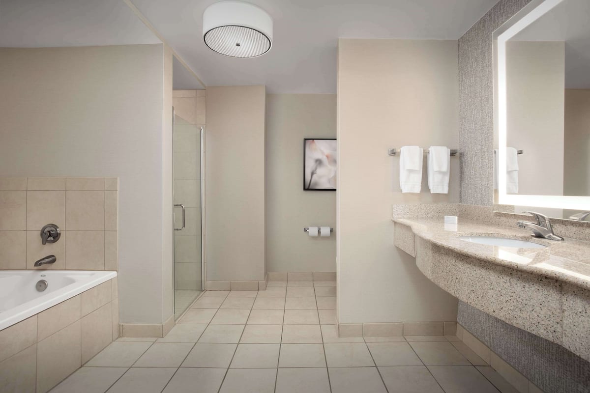 combined shower/bathtub, designer toiletries, hair dryer, towels