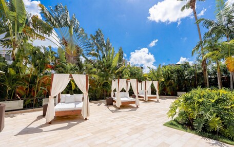 A rooftop garden with four canopy beds, surrounded by lush tropical plants and palm trees under a clear blue sky.