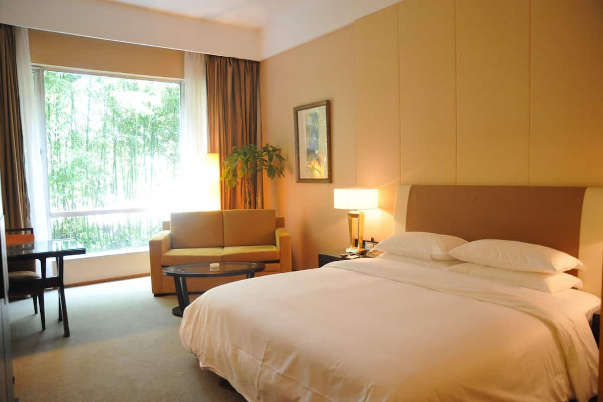 Chambre Affaires, vue jardin