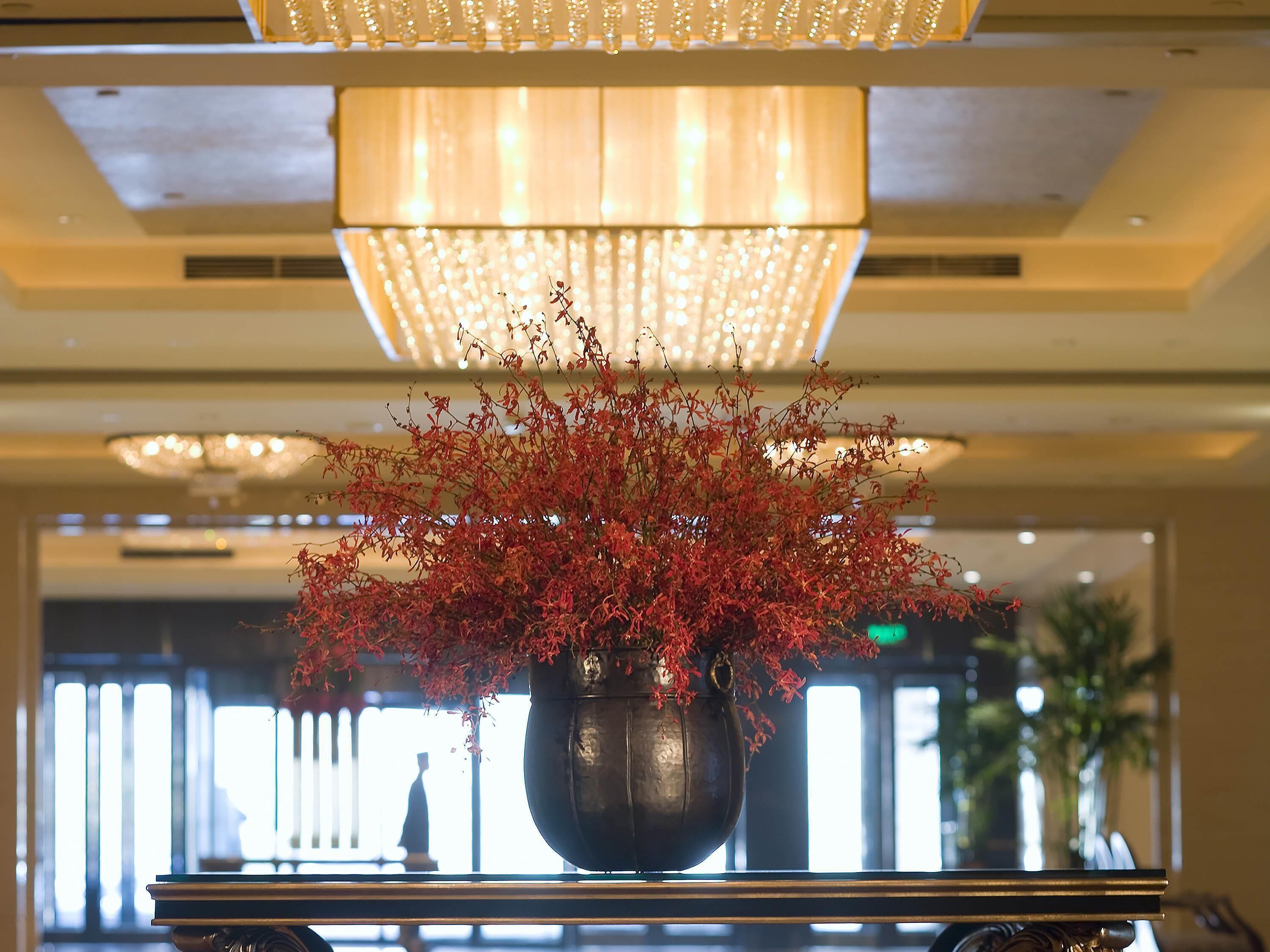 Una planta grande en maceta con hojas rojas en un vestíbulo con candelabro y ventanas amplias.