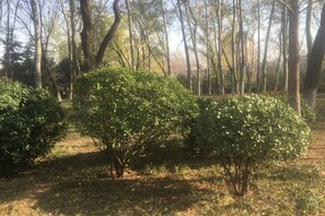 Botón de imagen sin clasificar, 4 de 41