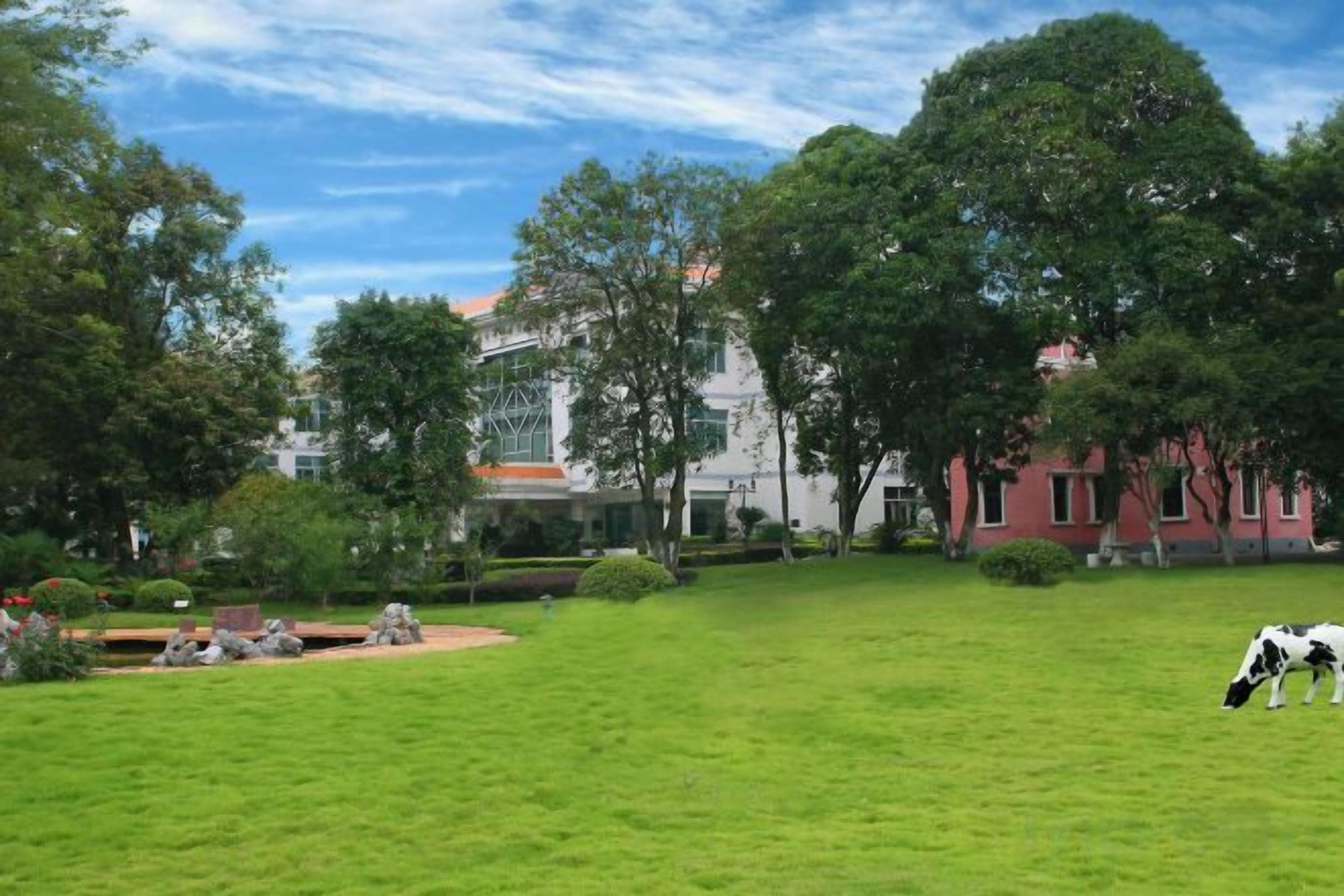 Un área con césped, un edificio al fondo, un árbol y una vaca.