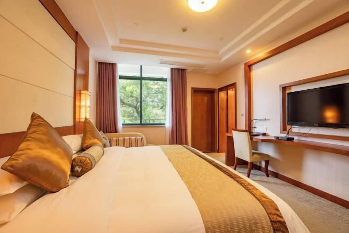 Une chambre d’hôtel avec un lit, un bureau, une télévision et une fenêtre avec des rideaux.