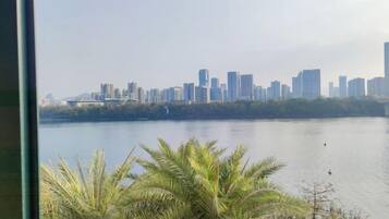 A view of a city skyline across a body of water, with palm trees in the foreground.