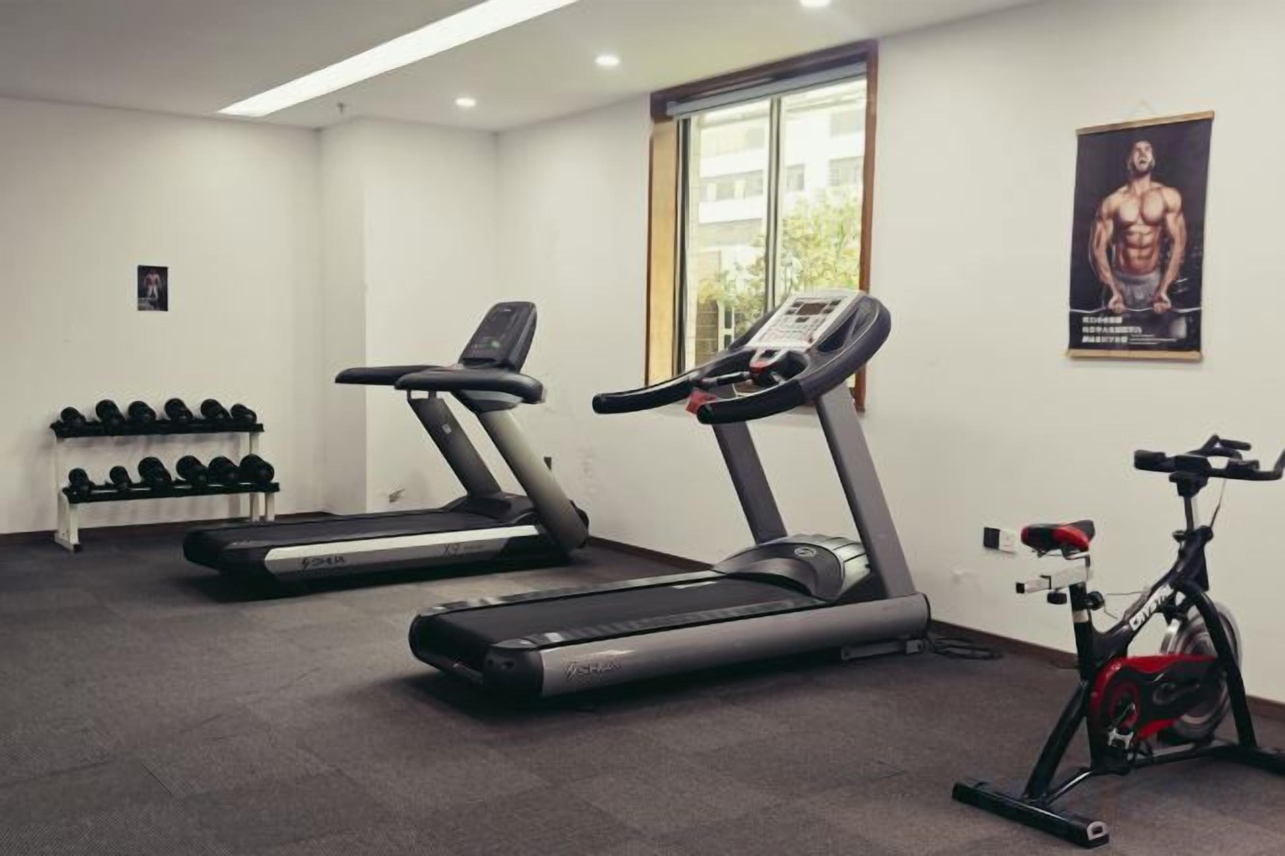 A gym with treadmills, dumbbells, and a stationary bike.