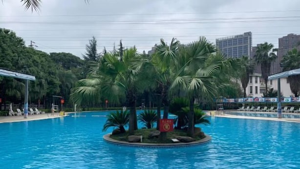 A swimming pool with a circular island surrounded by palm trees.