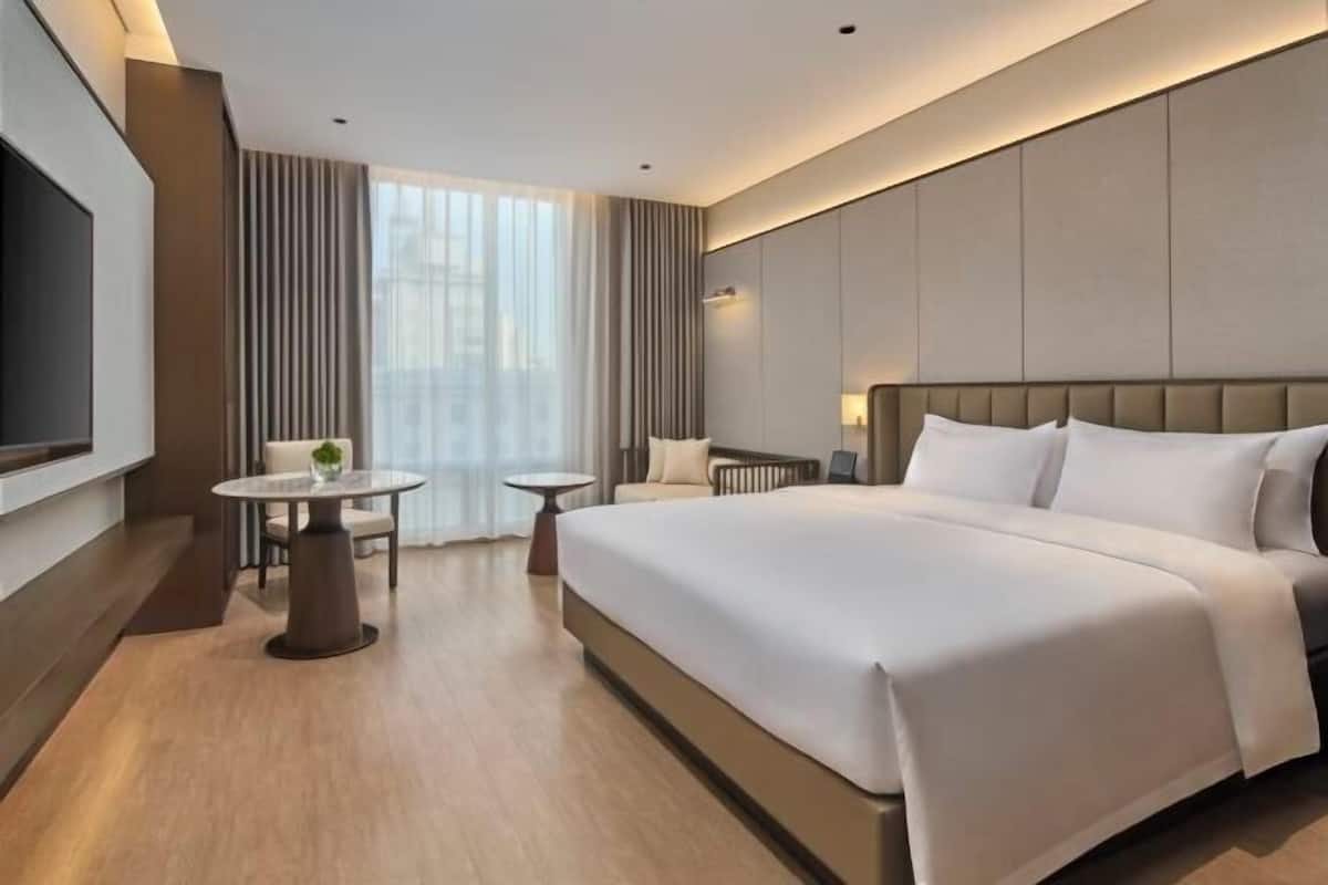 Habitación de hotel con una cama grande, un televisor, una mesita con una planta y una ventana con cortinas.