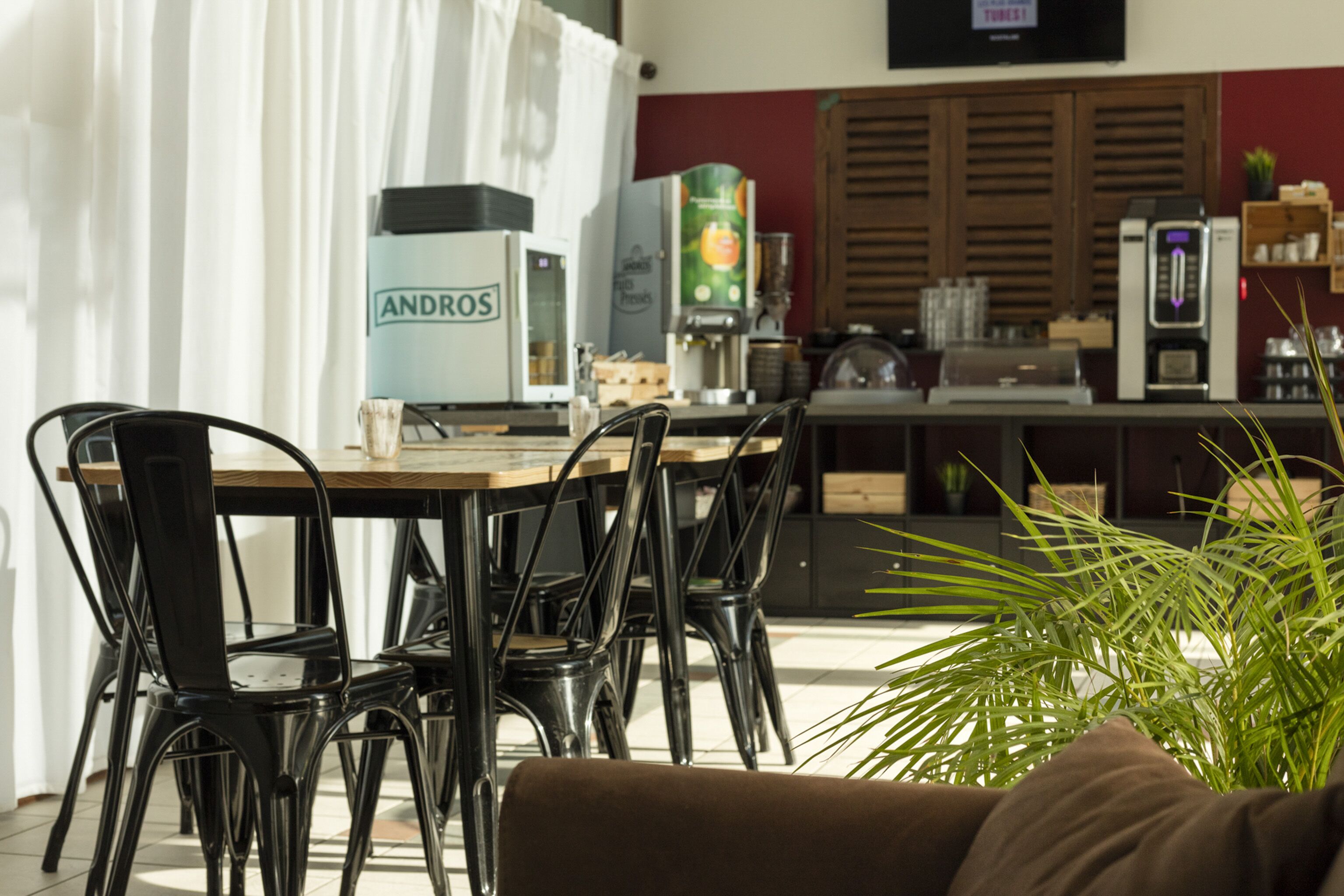 Un'area pranzo con un tavolo di legno e sedie nere, una macchina per il caffè e una pianta sullo sfondo.
