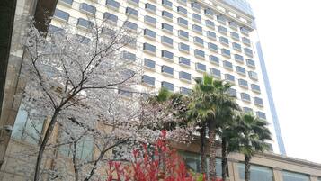 花園