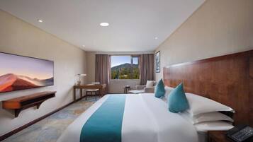 Minibar, in-room safe, iron/ironing board, alarm clocks