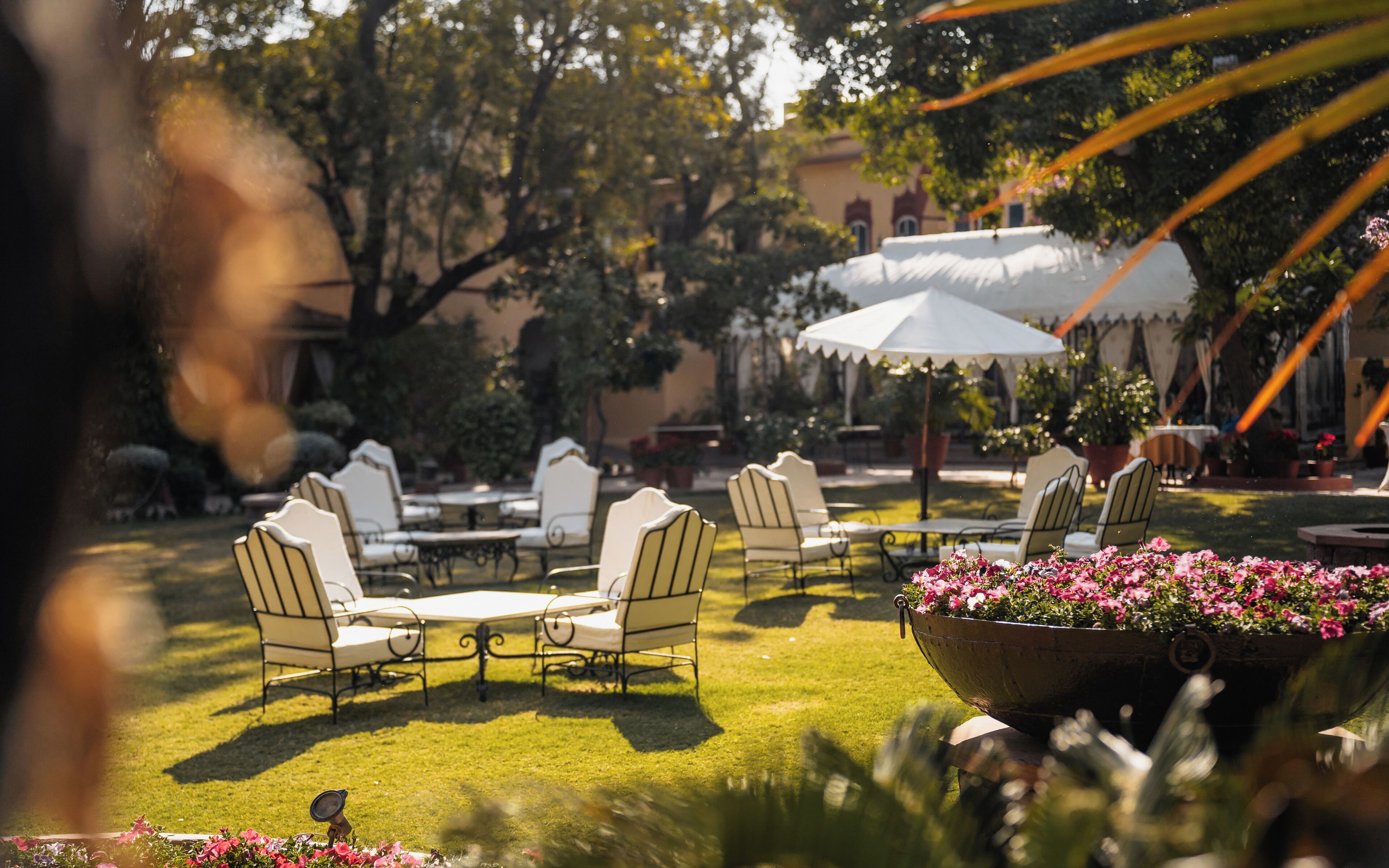 An outdoor seating area with tables and chairs, surrounded by greenery and potted plants.