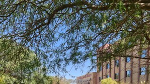 A pond with a stone structure in the center, surrounded by greenery and a building with a sign reading "Hotel del Deserto". - Hotel Agua del Desierto (Calama)